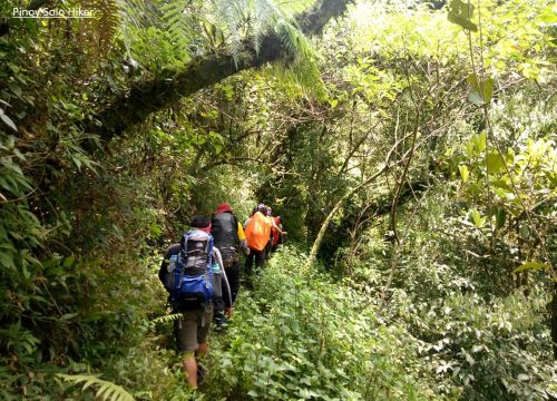 7 Days Mount Kilimanjaro Rongai route