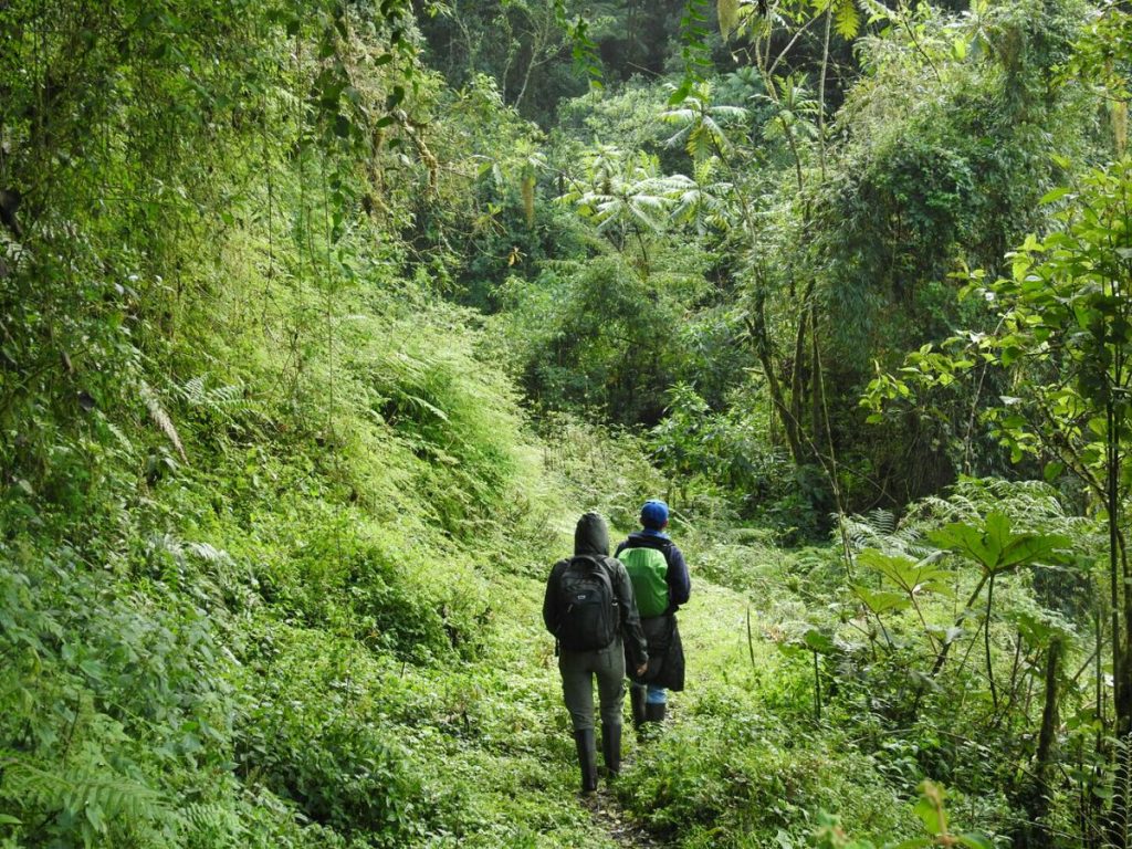 4 Days / 3 Nights Mount Meru Climb Package