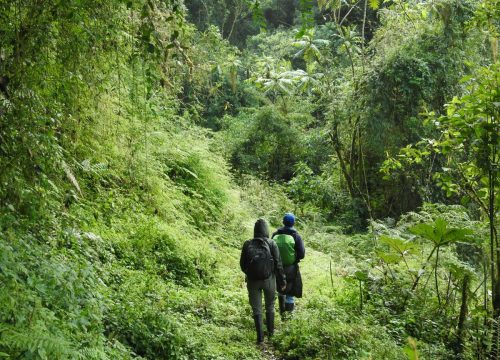 4 Days / 3 Nights Mount Meru Climb Package