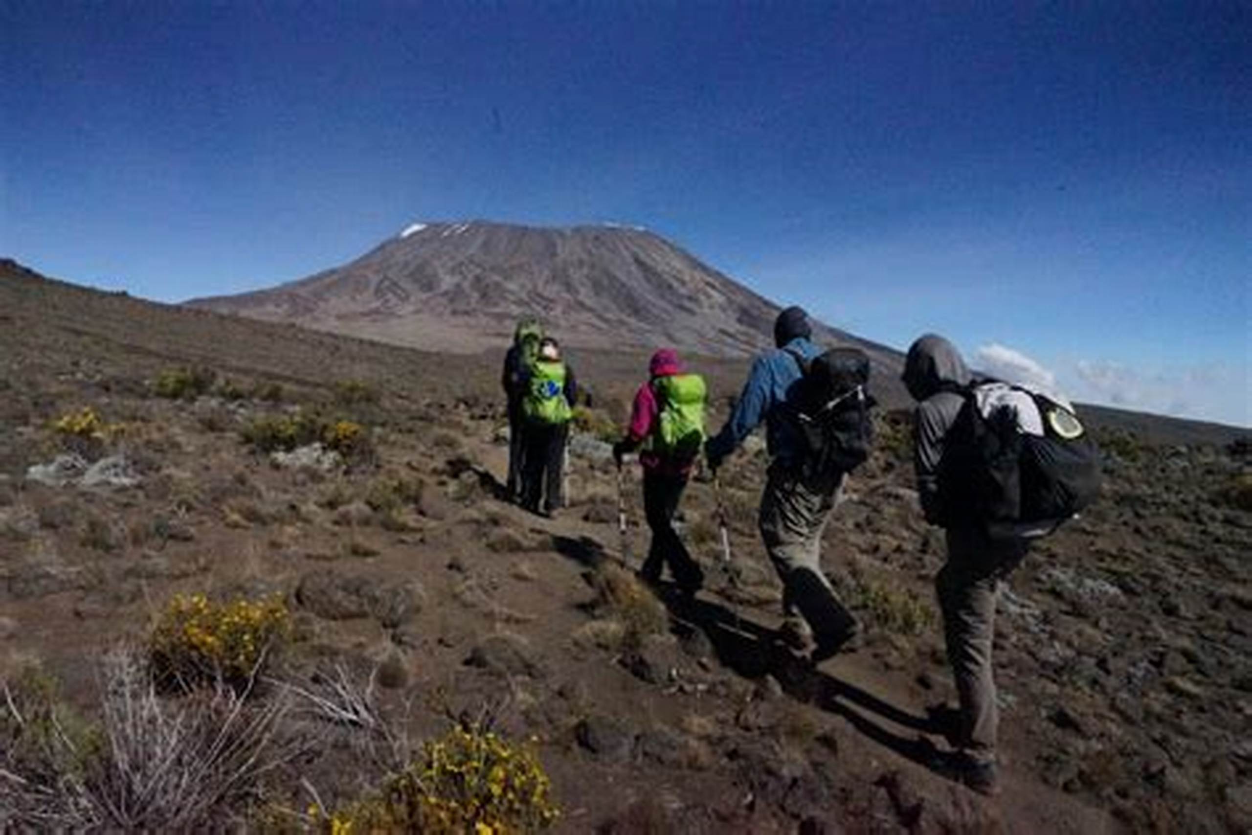 6 days machame route kilimanjaro climbing