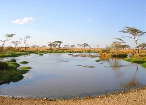 Lake Manyara National Park – The Jungle of Surprises