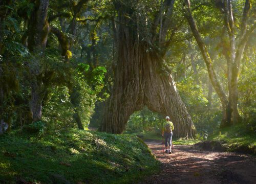 3 Days / 2 Nights Mount Meru Climb Package