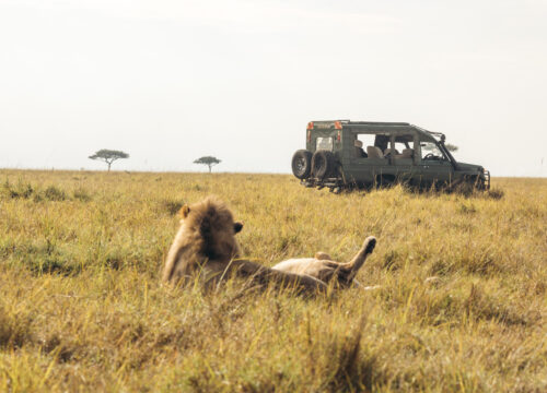 5-Day Tanzania Safari Adventure – Summer Tanzania Tours