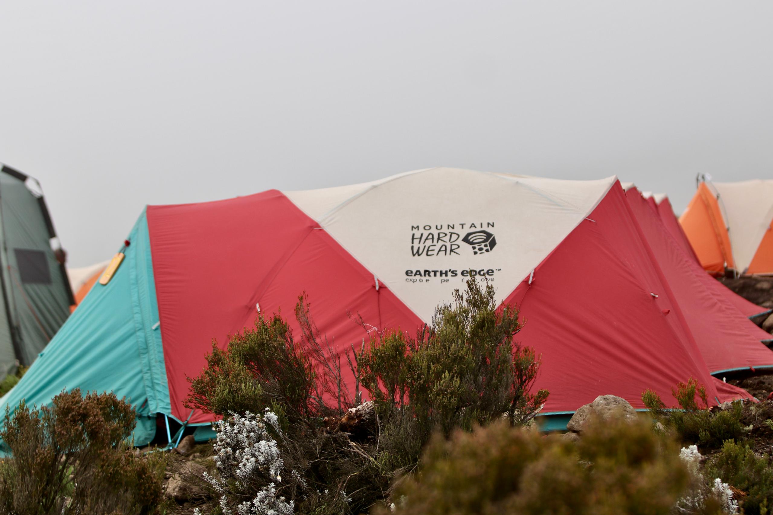 8 Days Lemosho Route