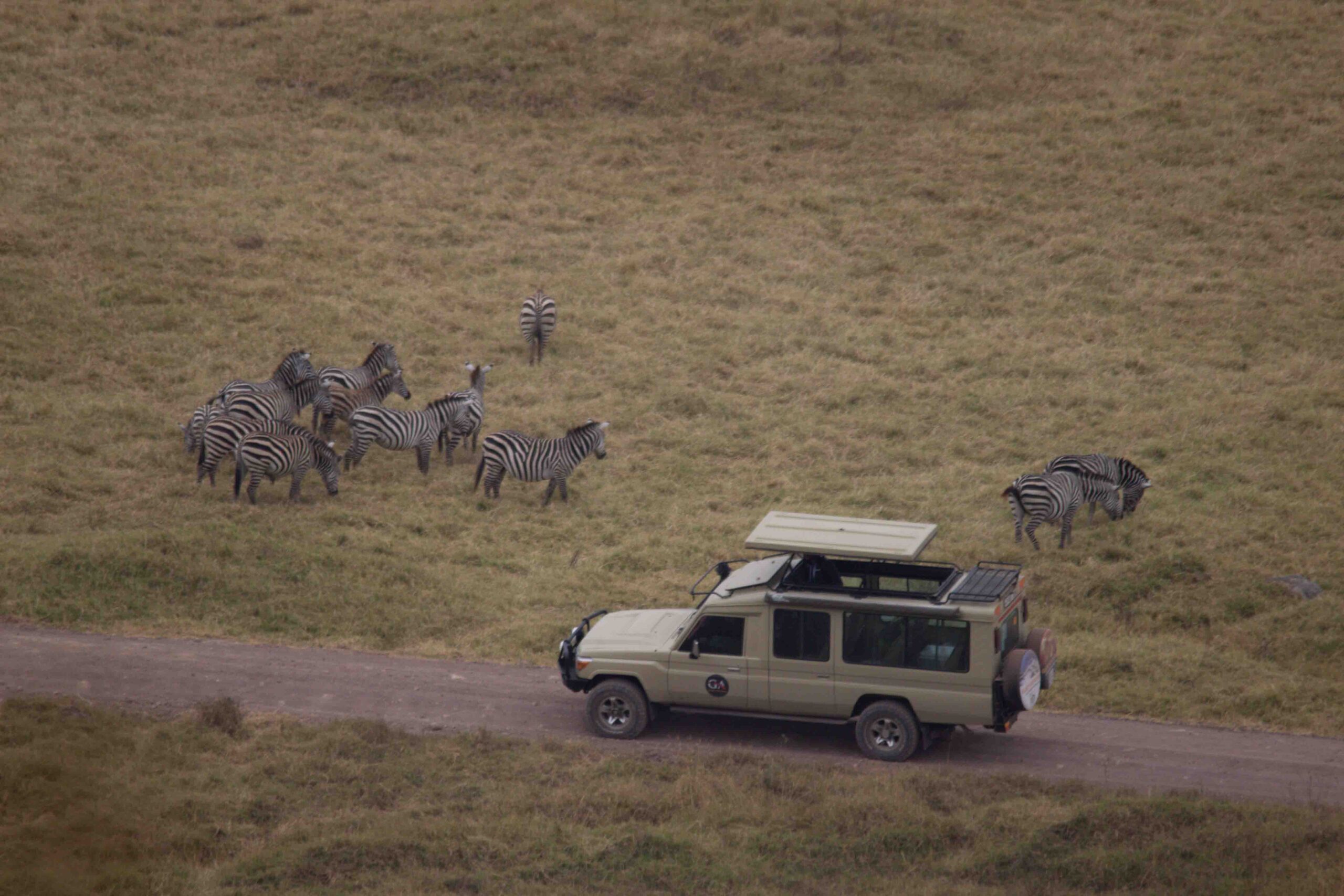 4 Days Tanzania Safari