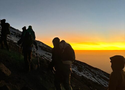 Lemosho Route – Kilimanjaro’s Most Beautiful and Successful Trail